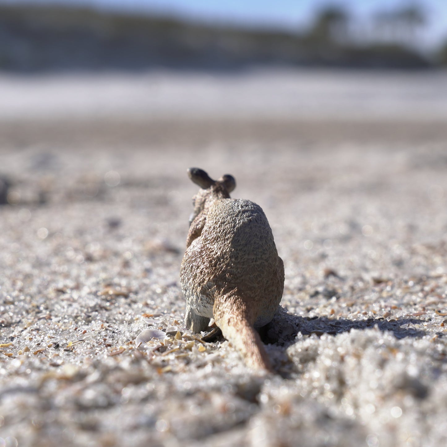 Wallaby Toy-4