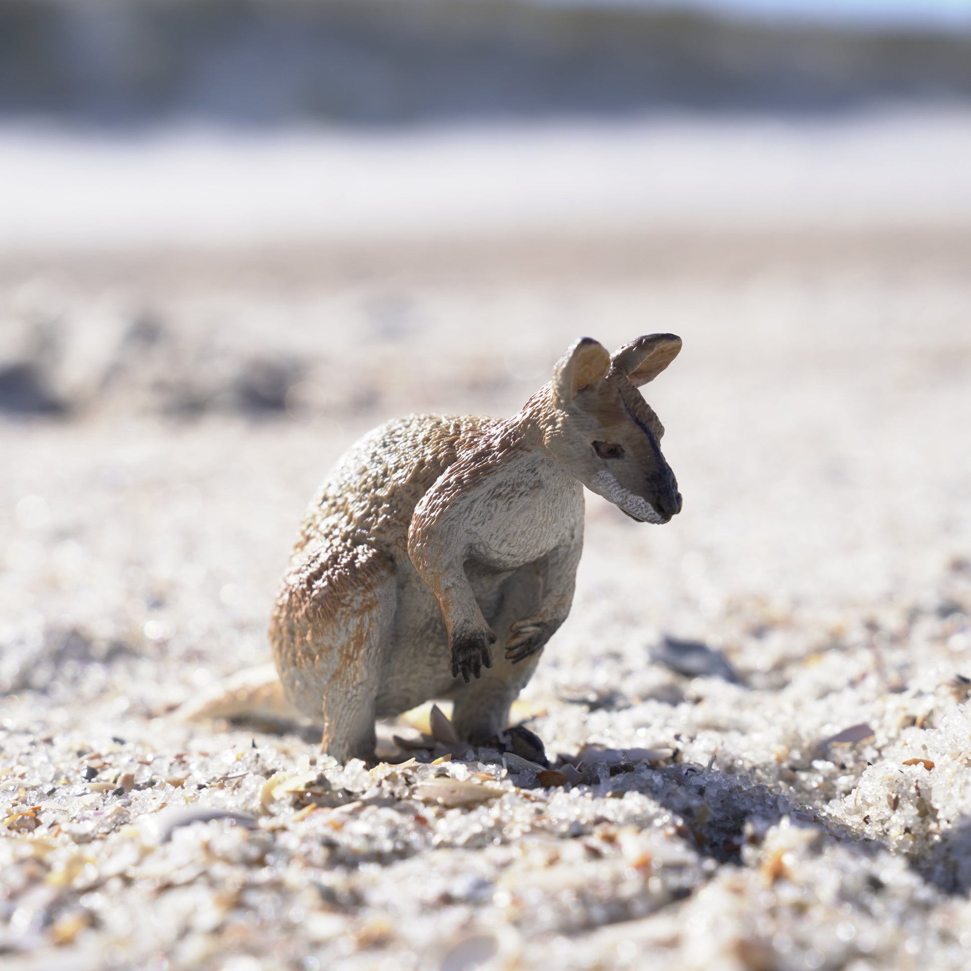 Wallaby Toy-3