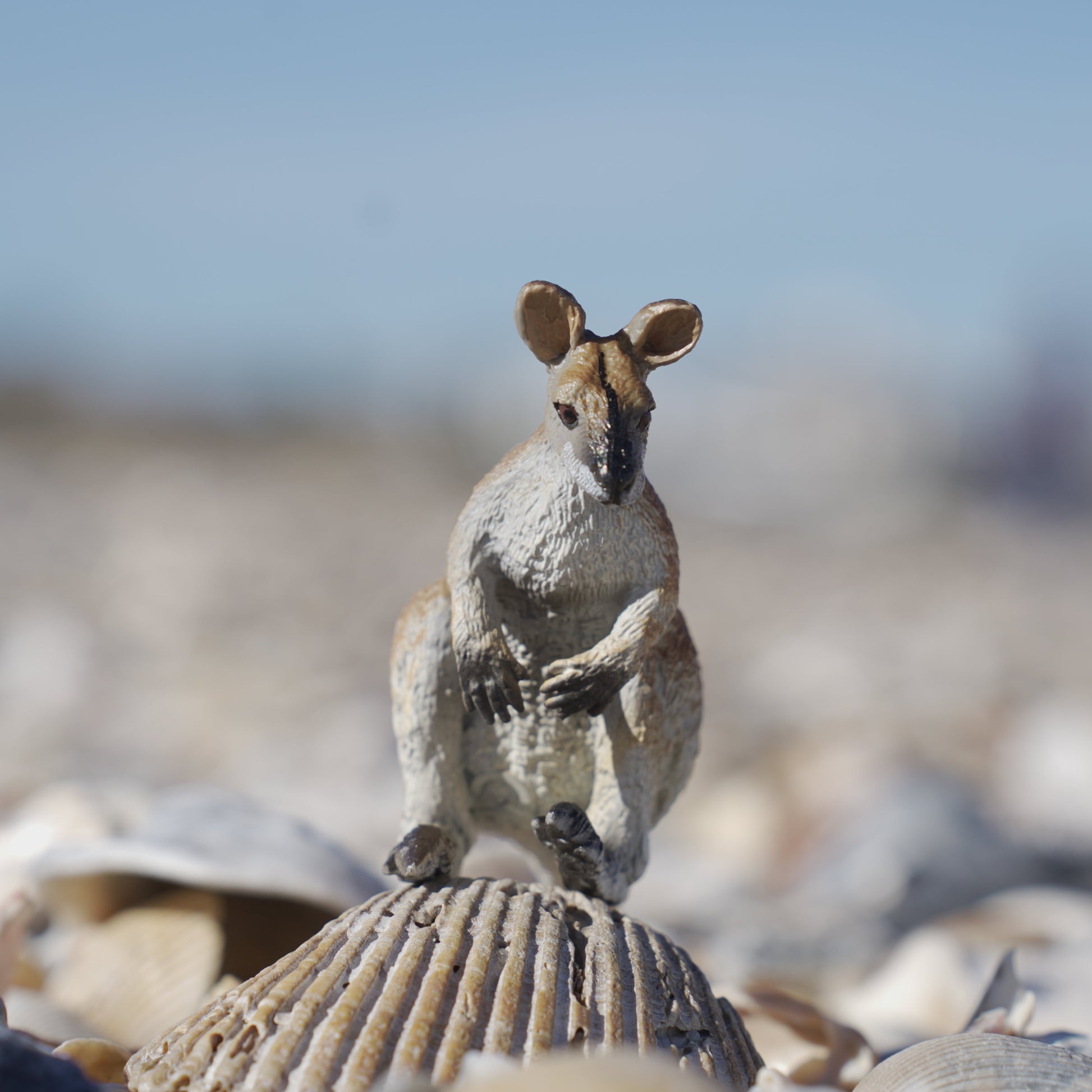 Wallaby Toy-2
