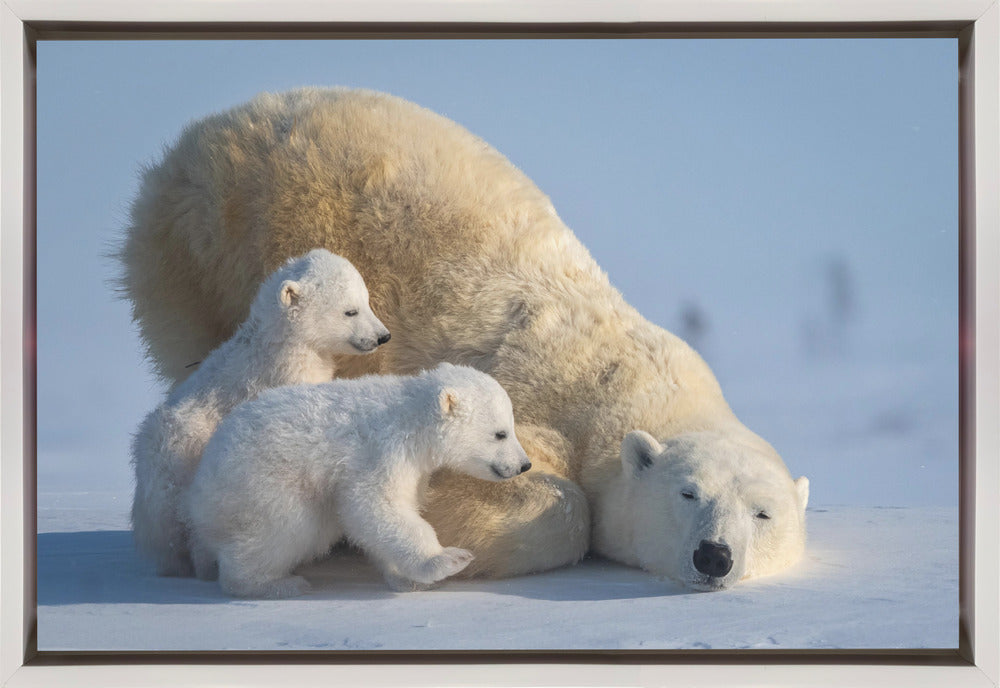 Wall art Mum, Play together