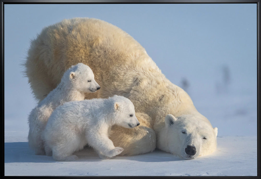 Wall art Mum, Play together